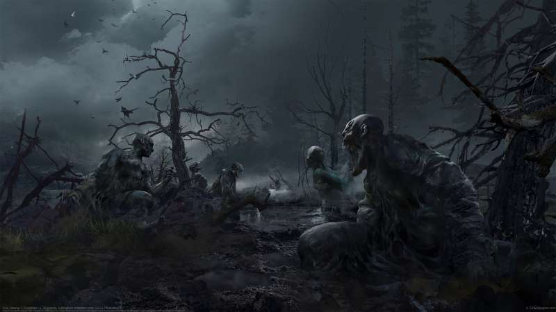 Dark Swamp Hintergrundbild
