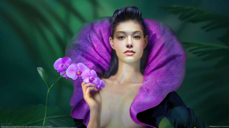 Purple Orchid Hintergrundbild