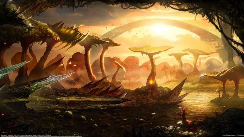 Mushroom swamp Hintergrundbild