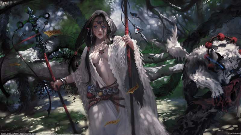 Shaman, battle in the woods Hintergrundbild