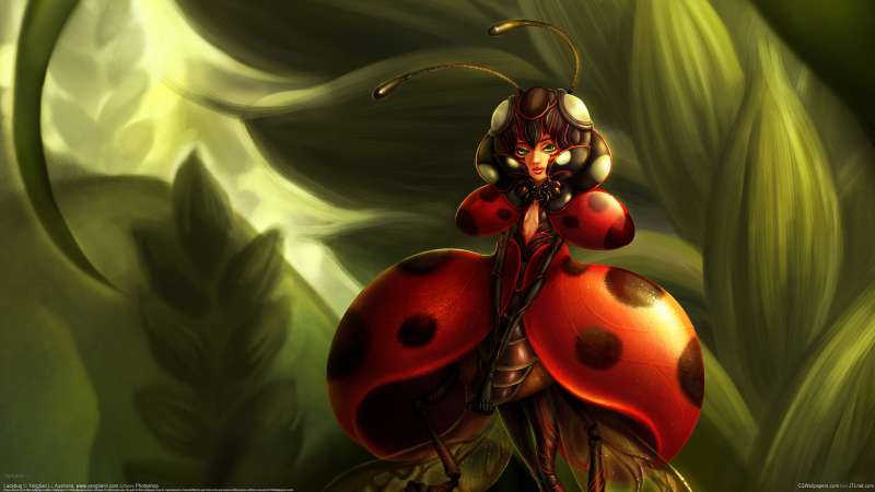 Ladybug Hintergrundbild