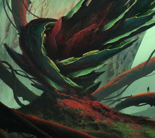 Tim Blandin Handy Horizontal Hintergrundbild
