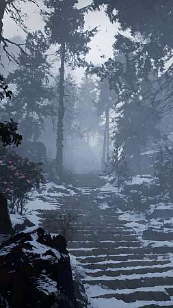 Kaidan: Project Hottan - Forest Path Handy Vertikal Hintergrundbild