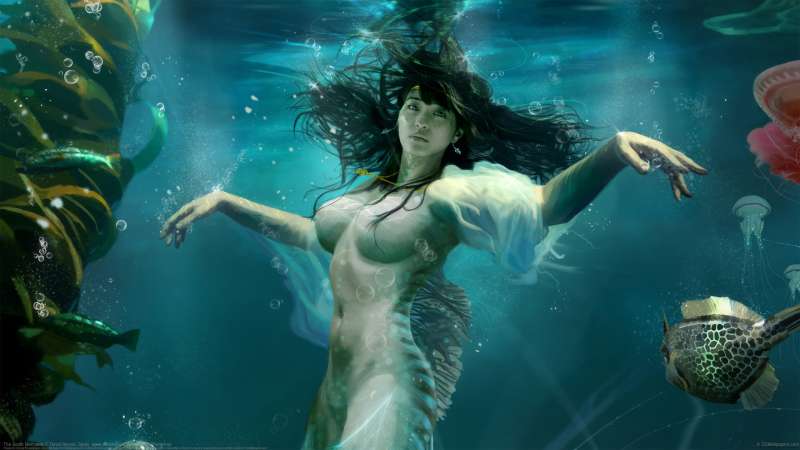 The South Mermaids Hintergrundbild