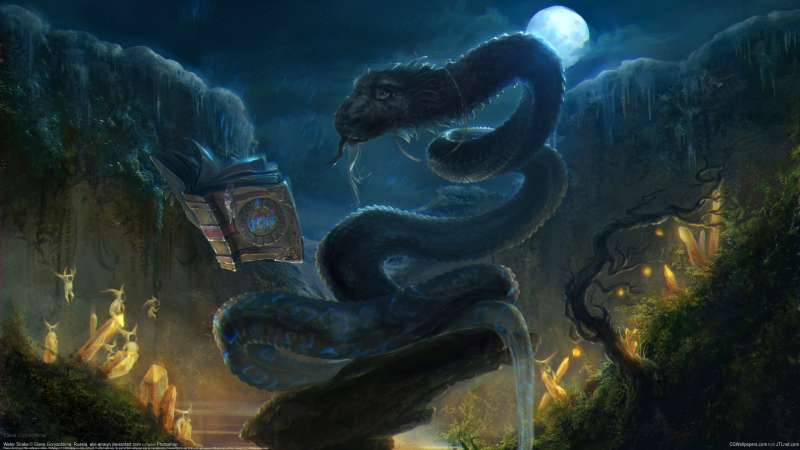 Water Snake Hintergrundbild