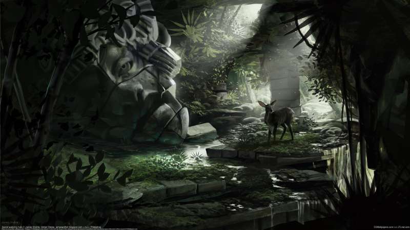Secret watering hole Hintergrundbild