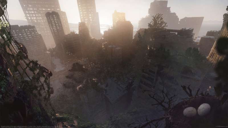 Kingdom planet of the apes concept exploration Hintergrundbild