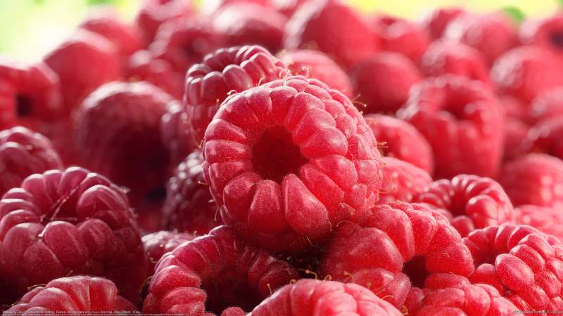 Raspberry Day Hintergrundbild