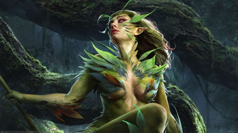 Sirens Of The Forest Hintergrundbild