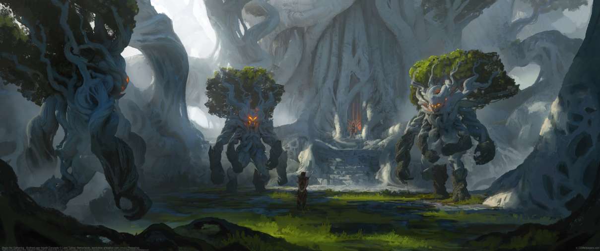 Magic the Gathering - Brothers war Argoth Concepts ultrabreit Hintergrundbild