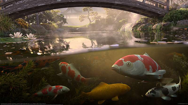 Koi fish pond Hintergrundbild