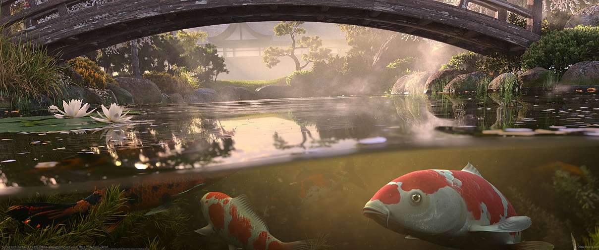 Koi fish pond ultrabreit Hintergrundbild