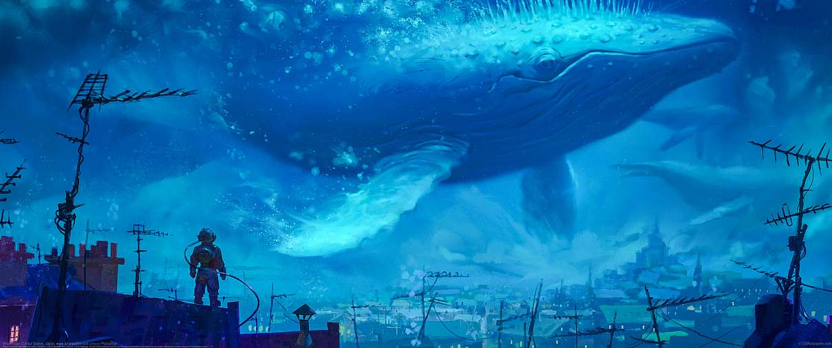 Whale Rider ultrabreit Hintergrundbild