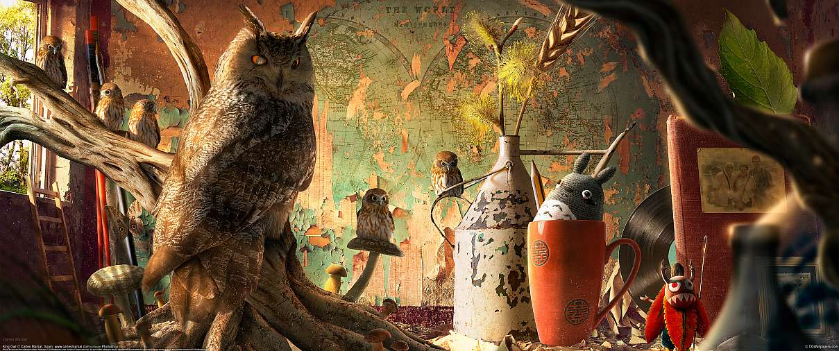 King Owl ultrabreit Hintergrundbild