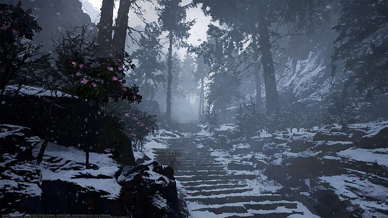 Kaidan: Project Hottan - Forest Path Hintergrundbild