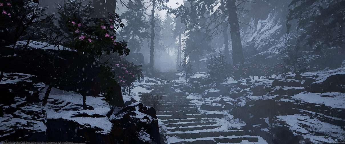 Kaidan: Project Hottan - Forest Path ultrabreit Hintergrundbild