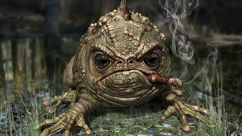 Grumpy frog Hintergrundbild