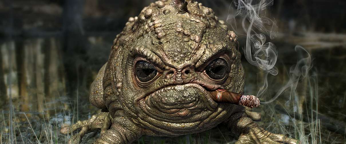 Grumpy frog ultrabreit Hintergrundbild