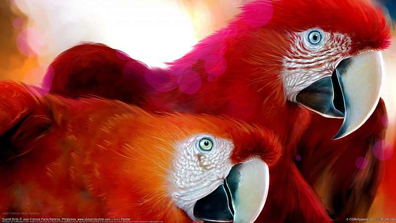 Scarlet Birds Hintergrundbild