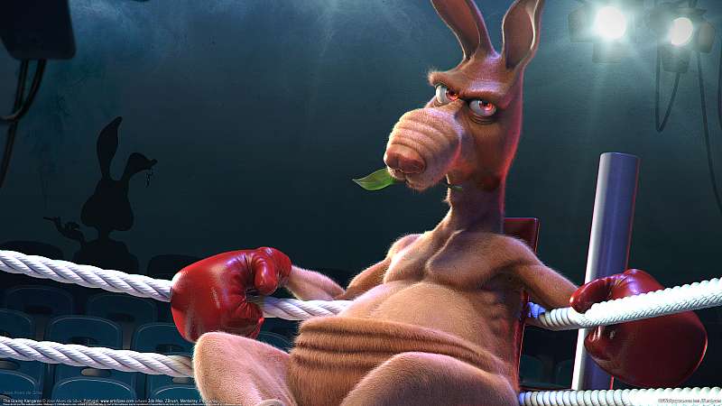 The boxing kangaroo Hintergrundbild