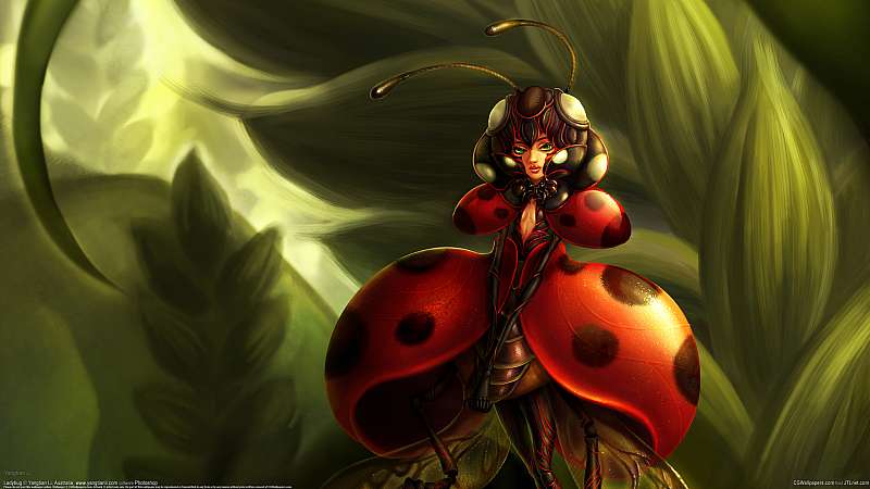 Ladybug Hintergrundbild