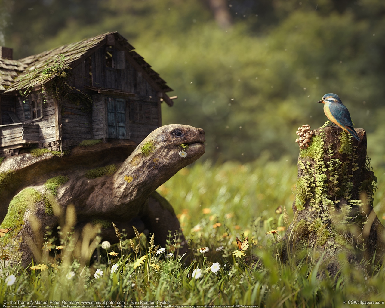 Manuel Peter 1280 Hintergrundbild 02