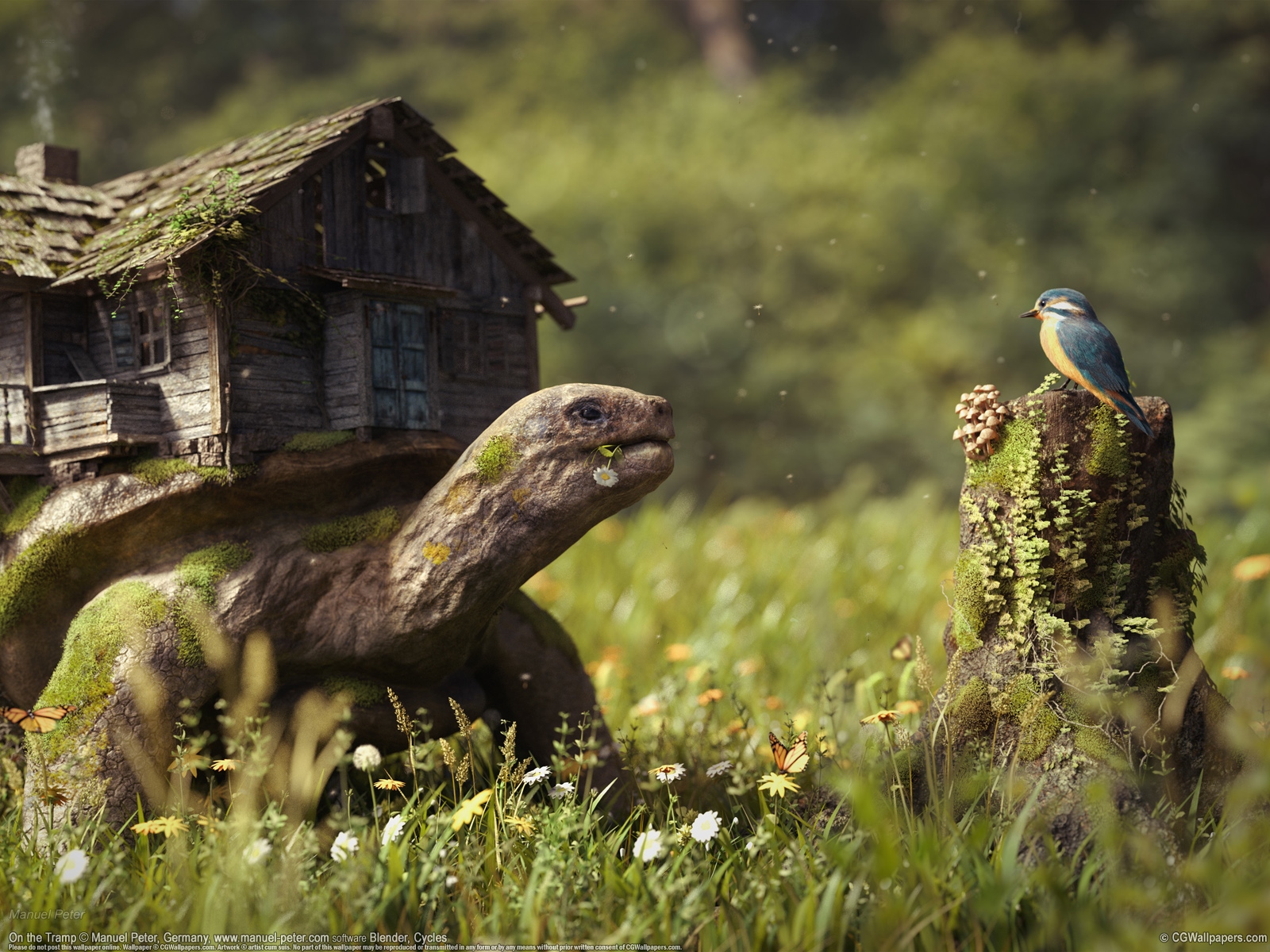 Manuel Peter 1600 Hintergrundbild 02