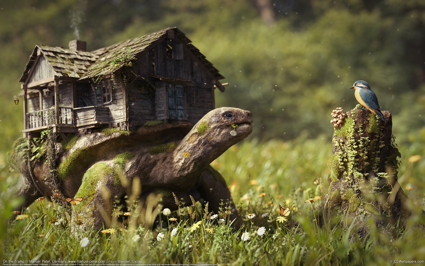 Manuel Peter 1680x1050 Hintergrundbild 02